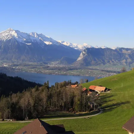 Schwendi-blueme Heiligenschwendi