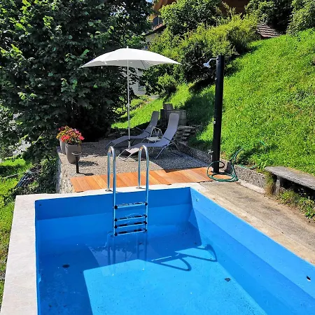 Schwendi-blueme Heiligenschwendi