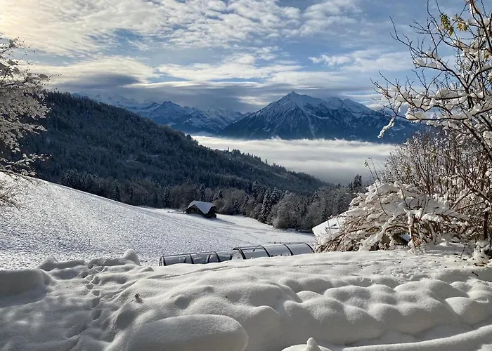 Apartman Schwendi-blueme *