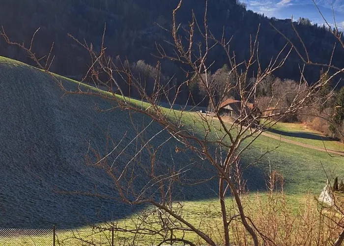 Schwendi-blueme * Heiligenschwendi