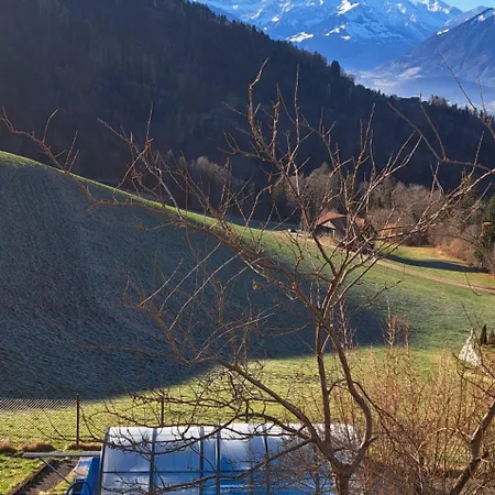 Schwendi-blueme * Heiligenschwendi
